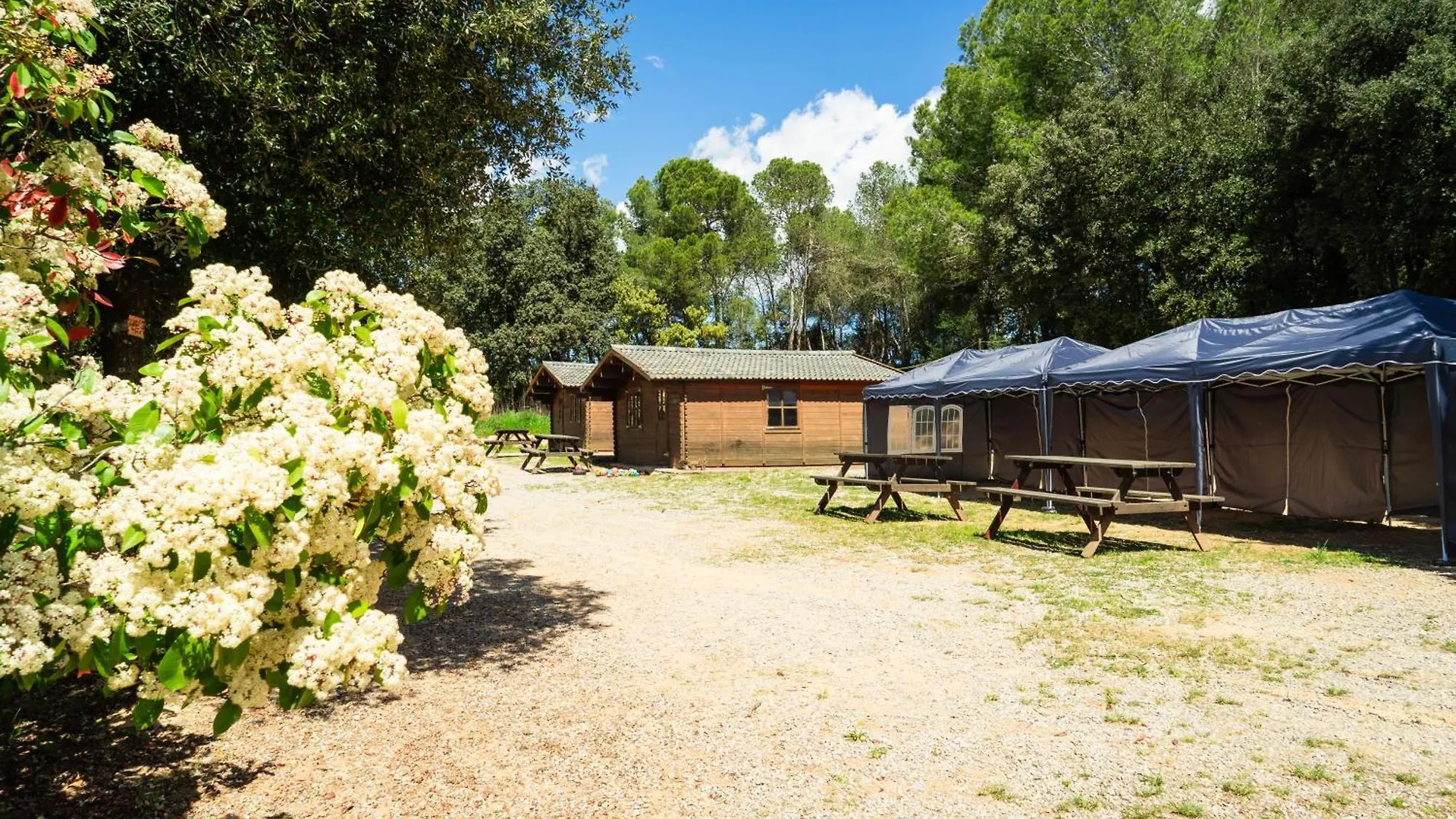 Farm stay Casa De Colonies, El Ginebro Villa Vilopriu