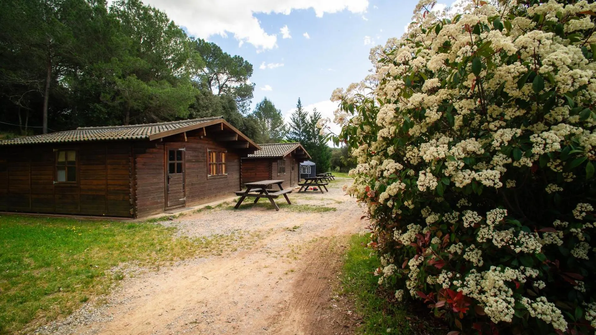 Farm stay Casa De Colonies, El Ginebro Villa Vilopriu