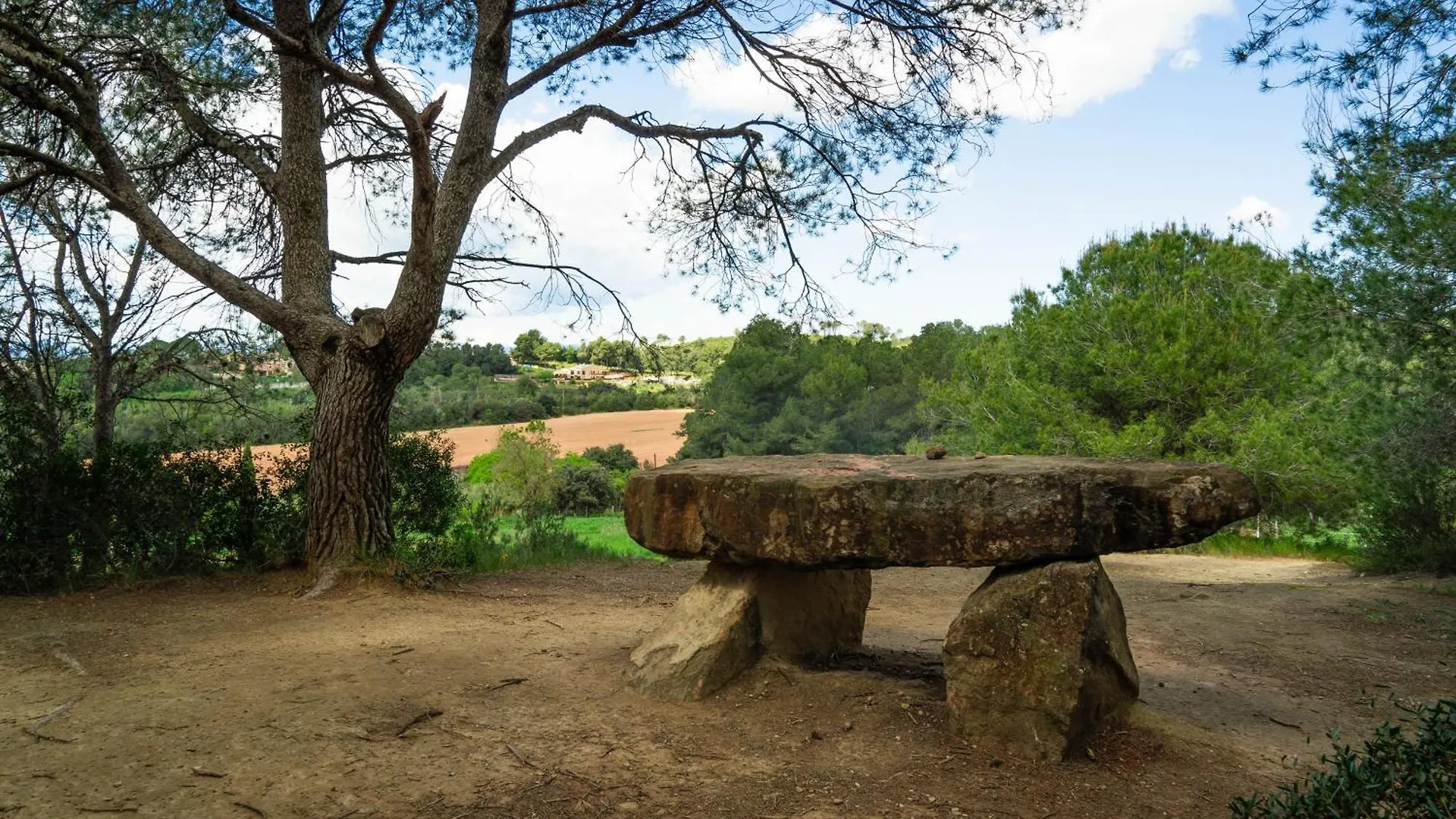 Farm stay Casa De Colonies, El Ginebro Villa Vilopriu Spain